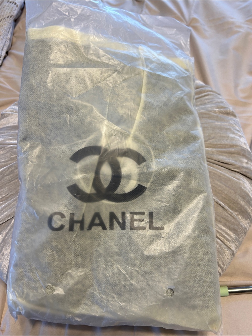 Chanel bag in dust cover GWP